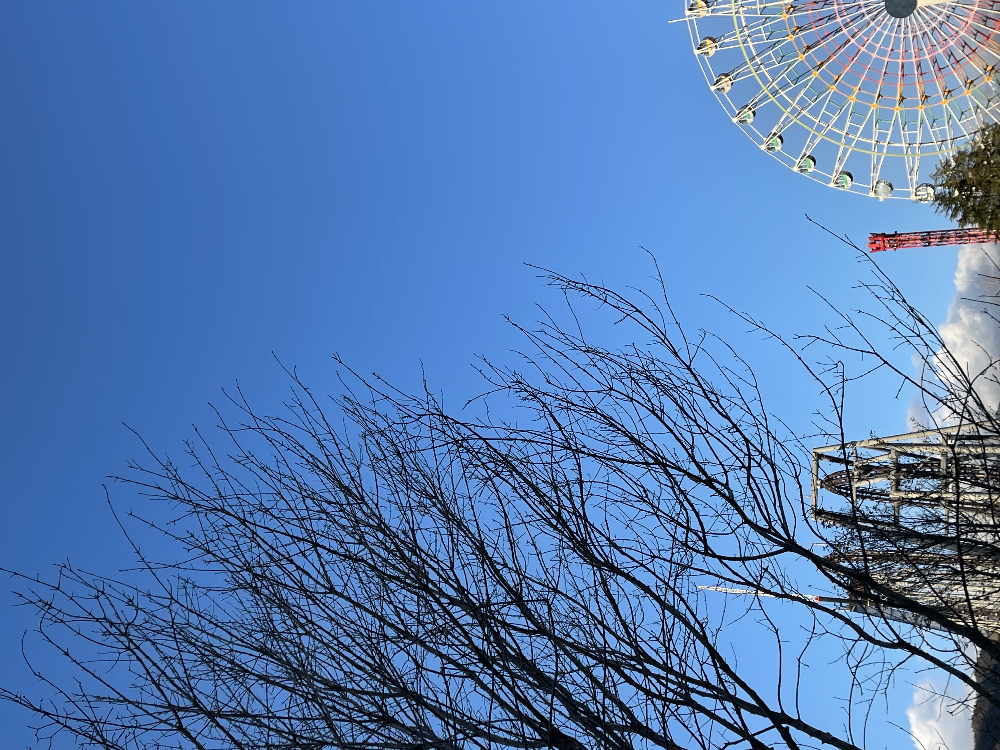 池田 乃彩 休みの日のこと