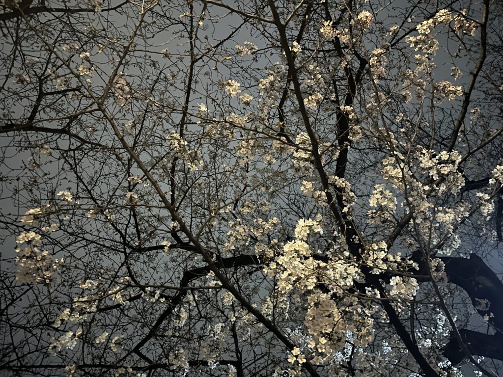 池田 乃彩 休みの日のことのメイン画像