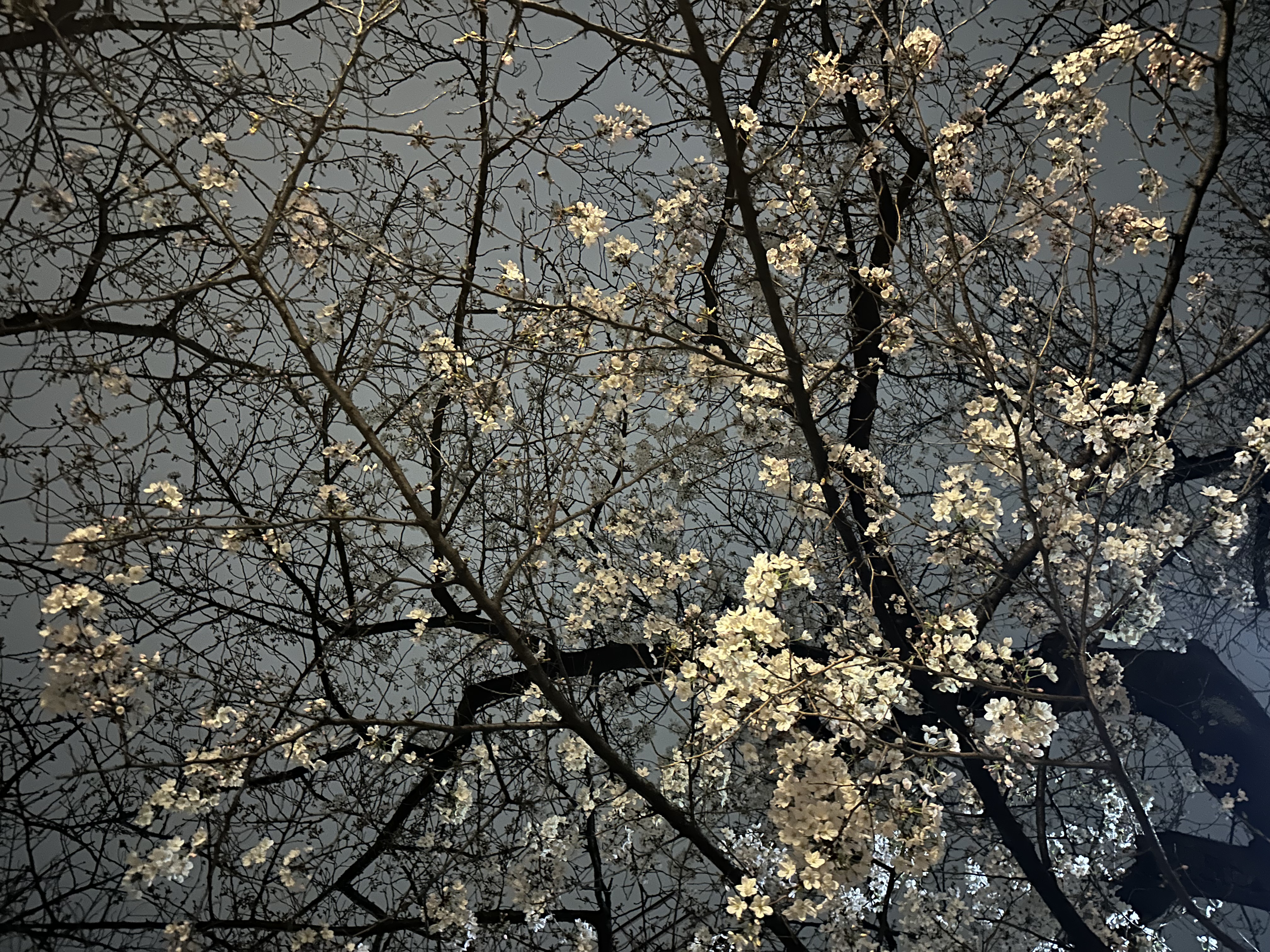 池田 乃彩 休みの日のこと