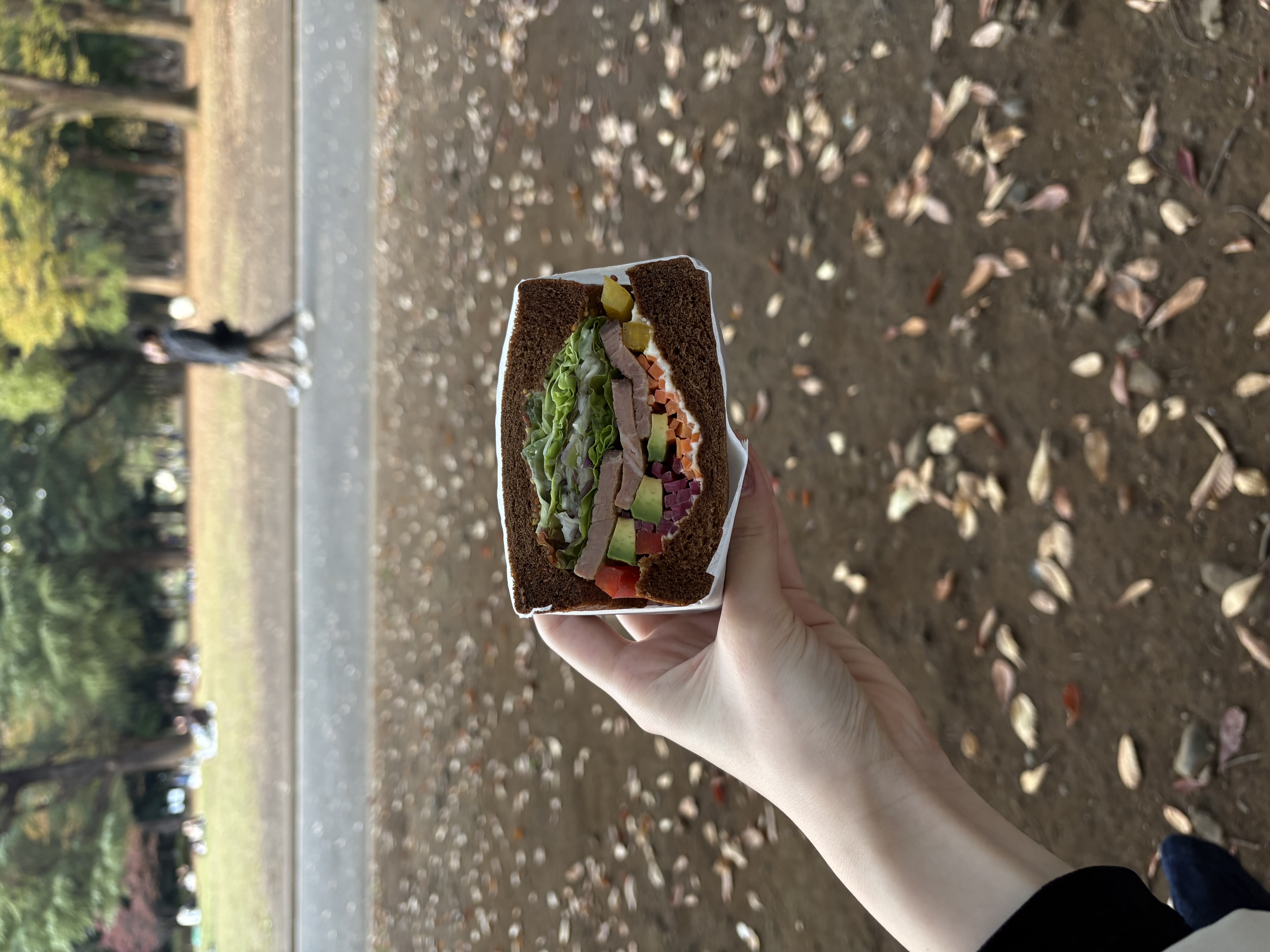 池田乃彩 お休みの日のこと